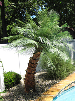Artificial Outdoor Palm Trees Areca Palm Pool Area Tropical